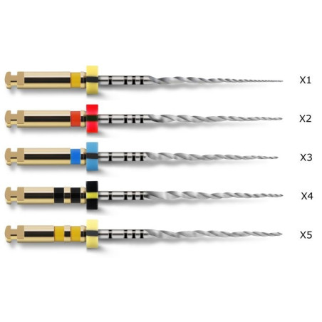 Protaper Next 25mm Dentsply