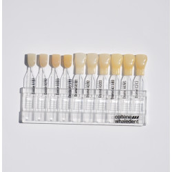 Brilliant Ng1 Shade Guide Coltene