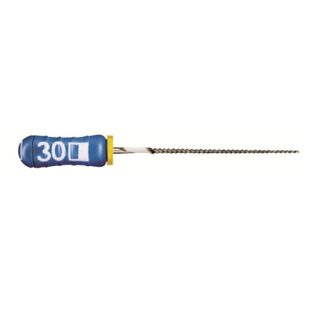 Nitiflex File 25mm Dentsply Maileffer