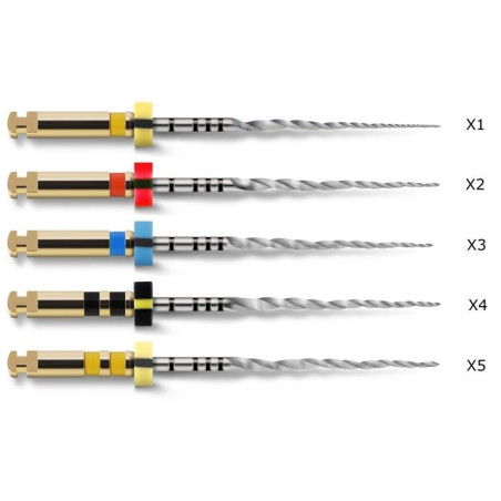 Protaper Next 21mm Dentsply