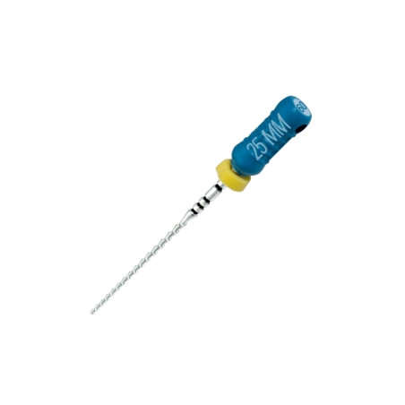 Ace H-File L 25mm sterile asortate 008-010 (gri - mov) VDW