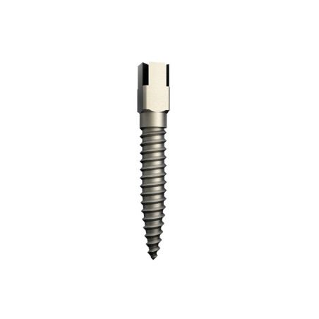 Pivoti endo Titan short 15 bucati Dentatus