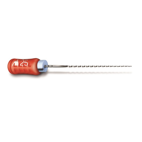 Flexofile 25mm Maillefer
