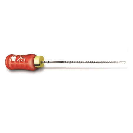 Senseus FlexoFile ReadySteel 25mm Dentsply
