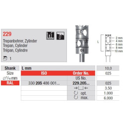 Freze Chirurgicale Trepan burs RAL 229