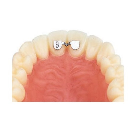 Retainers Sup 6mm 10 Bucati Leone