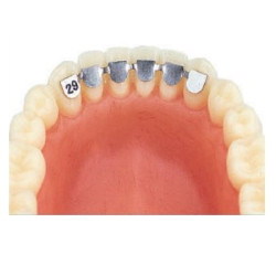 Retainers Lower 29mm