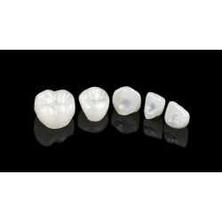 Eдинична педиатрична корона PEDIATRIC CROWN 1 брой Edelweiss