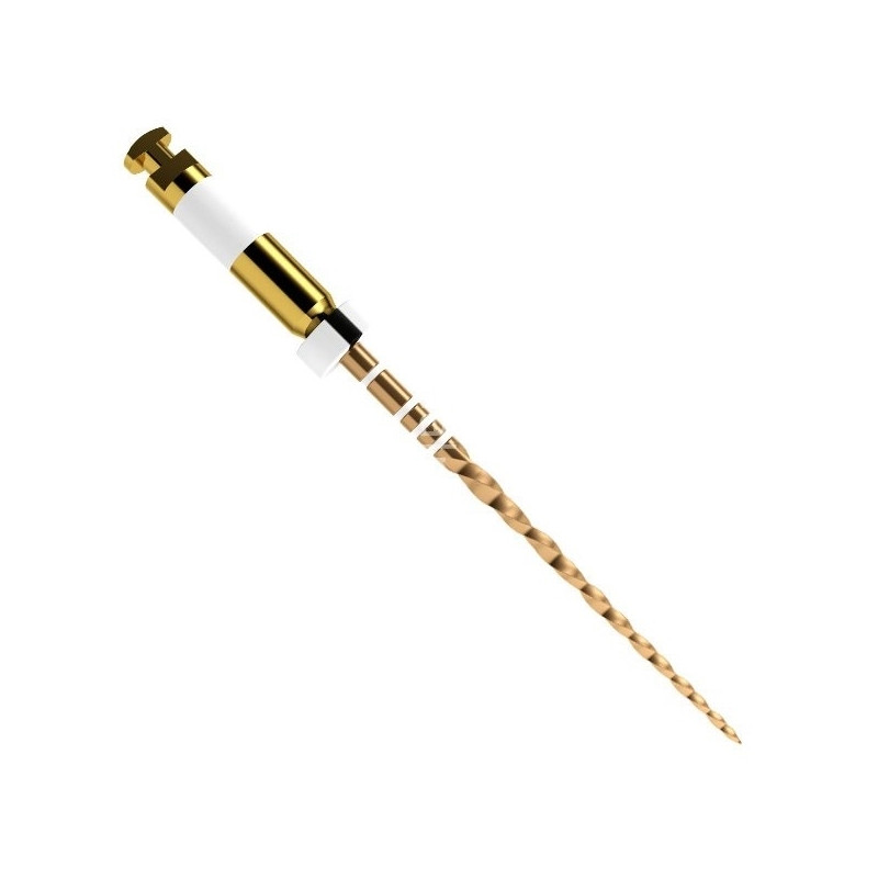 WaveOne Gold Large 31mm Dentsply
