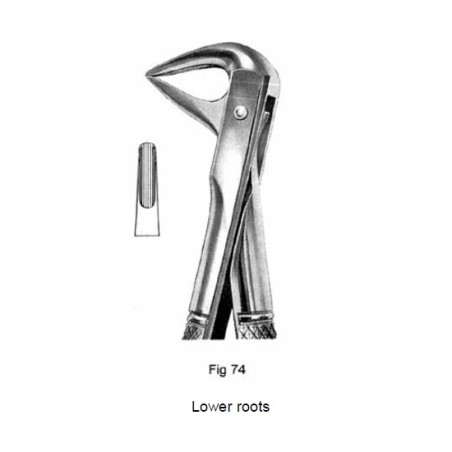 Cleste extractie rest inferior N° 74 Medenta